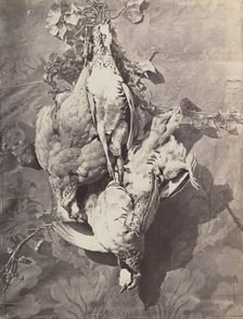 [Still Life with Game Birds], 1859. Creator: Charles Nègre