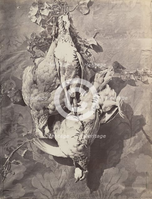 [Still Life with Game Birds], 1859. Creator: Charles Nègre.