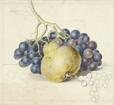 Still life with grapes and a pear, 1792-1861. Creator: Georgius Jacobus Johannes van Os