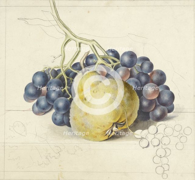 Still life with grapes and a pear, 1792-1861. Creator: Georgius Jacobus Johannes van Os.