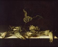 Still Life with Hazel-nuts, 1696. Artist: Adriaen Coorte