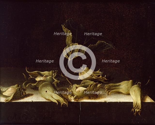 Still Life with Hazel-nuts, 1696. Artist: Adriaen Coorte.