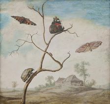 Still life with landscape, 17th century. Creator: Margareta de Heer