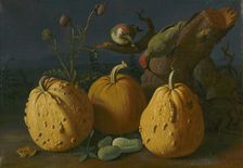 Still Life with Pumpkins and Cucumbers, 1734. Creator: Istvan Mihsaly Izbeghy