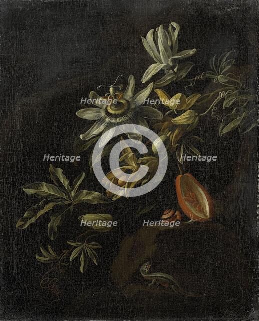 Still Life with Passionflowers, 1670-1708. Creator: Elias Van Den Broeck.