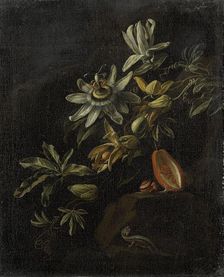 Still Life with Passionflowers, 1670-1708. Creator: Elias Van Den Broeck