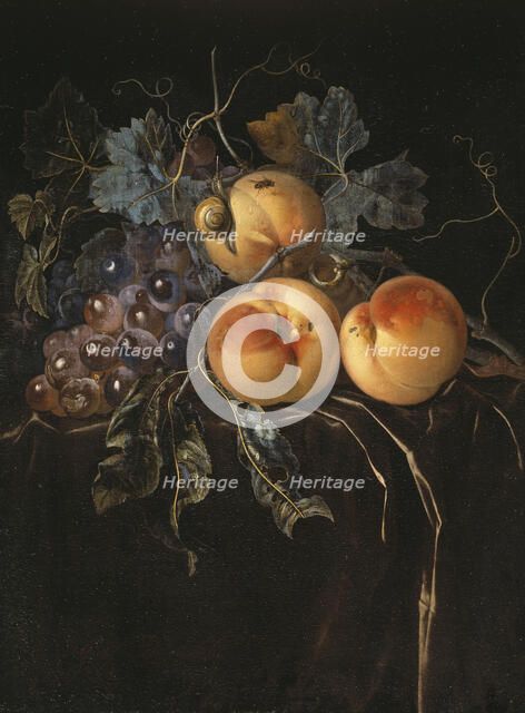 Still Life with Peaches and Grapes. Creator: Willem van Aelst.