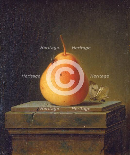 Still Life with Pear and Insects, 1765. Creator: Justus Juncker.