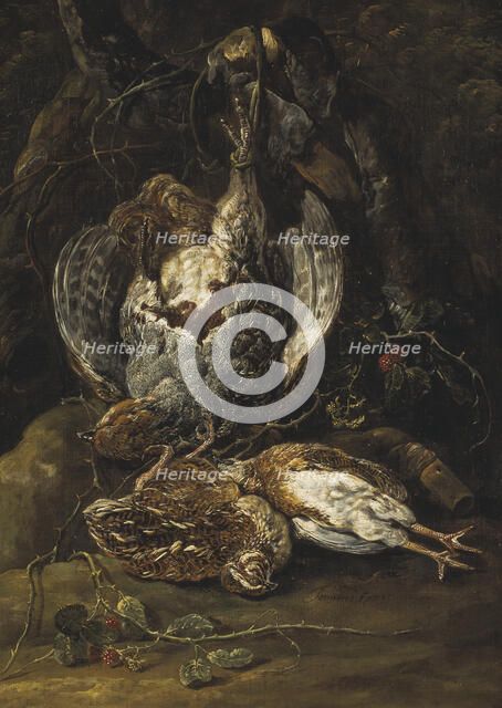 Still Life with Quails and a Partridge. Creator: Jan Fyt.