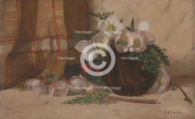 Still Life with Roses, ca. 1885-87. Creator: Charles Ethan Porter.