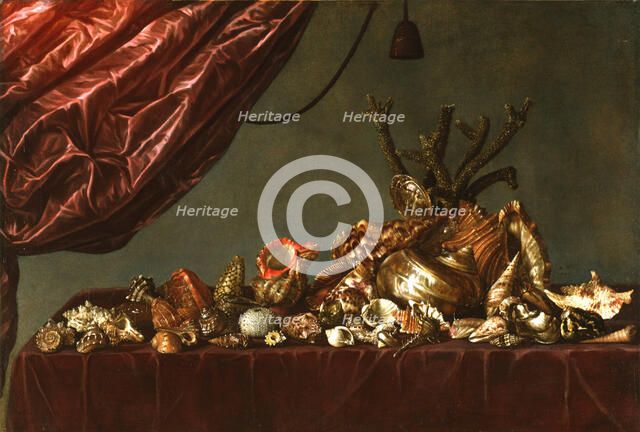 Still Life with Shells, 1659. Creator: Susenier, Abraham (c. 1620-c. 1666).