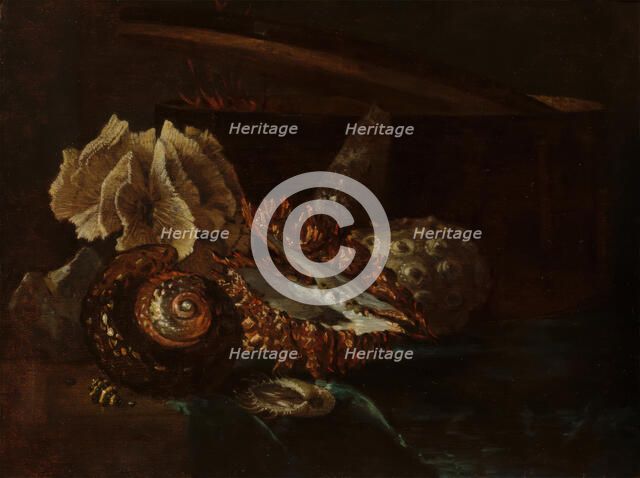 Still Life with Shells and Coral, c1640-1690. Creator: Willem Kalf.