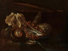 Still Life with Shells and Coral, c1640-1690. Creator: Willem Kalf