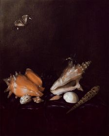 Still Life with Shells and Insects, 1656. Creator: Pieter van de Venne
