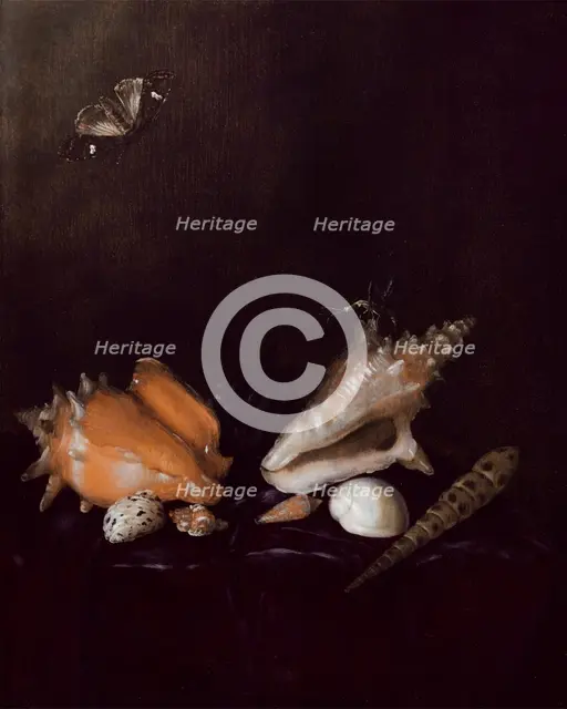 Still Life with Shells and Insects, 1656. Creator: Pieter van de Venne.