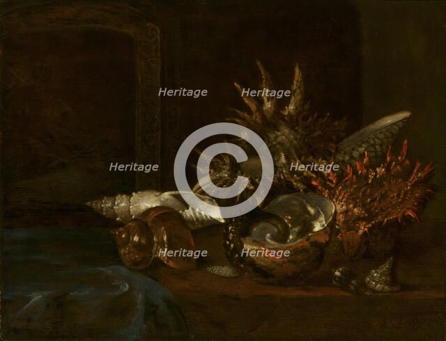 Still Life with Shells, c1640-1690. Creator: Willem Kalf.