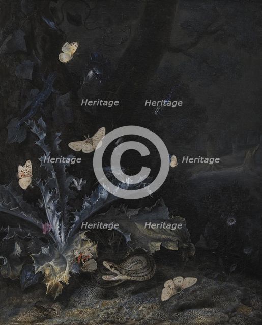 Still Life with Thistle and Snake, 1663. Creator: Otto Marseus van Schrieck.