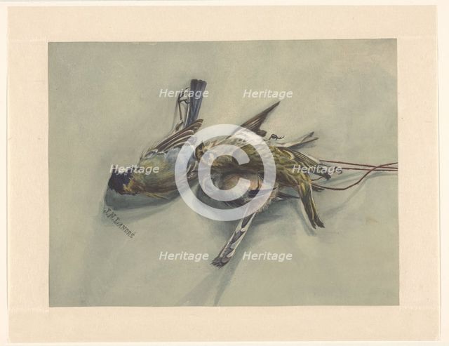Still life with three dead birds, c.1800-c.1899. Creator: J.N. Landré.