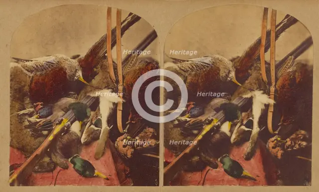 Still life with various dead fowl and rifle, about 1860. Creator: Joseph John Elliott.