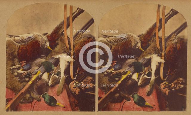 Still life with various dead fowl and rifle, about 1860. Creator: Joseph John Elliott.