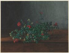 Still Life with Wild Flowers, 1864. Creator: Léon Bonvin (French, 1834-1866)