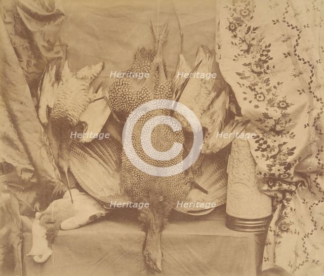 Still Life and Embroidery, 1856. Creator: Robert Wilfred Skeffington Lutwidge.