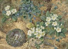 Still life of a bird's nest, violets, primroses and apple blossoms, 1872. Creator: Thomas Frederick Collier