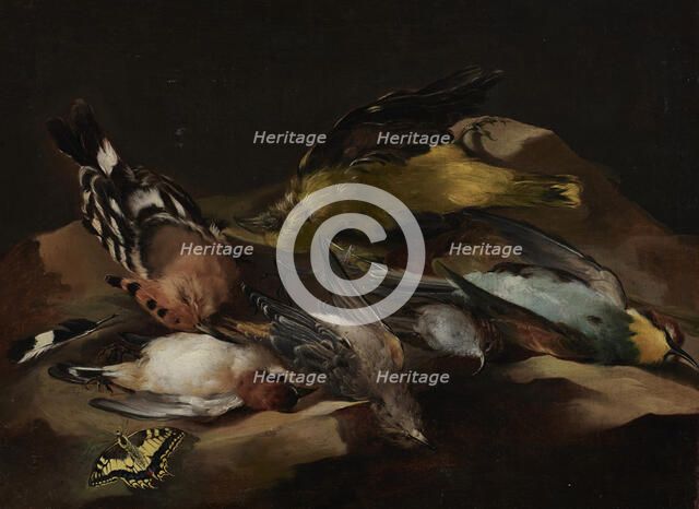 Still Life of Birds and a Butterfly, c1650. Creator: Unknown.