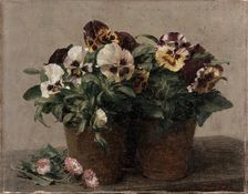 Still Life: Pansies and Daisies, 1880. Artist: Henri Fantin-Latour