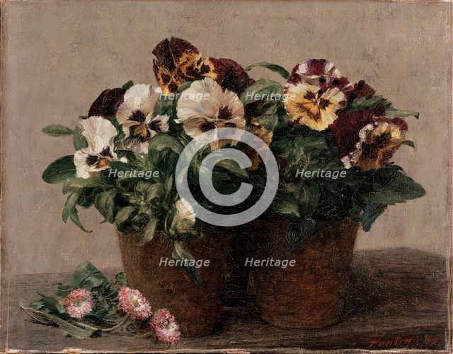 Still Life: Pansies and Daisies, 1880. Artist: Henri Fantin-Latour.