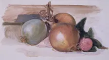 Still-Life - Study of Onions, 1871-75. Creator: Sir Edward Coley Burne-Jones