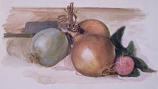 Still-Life - Study of Onions, 1871-75. Creator: Sir Edward Coley Burne-Jones