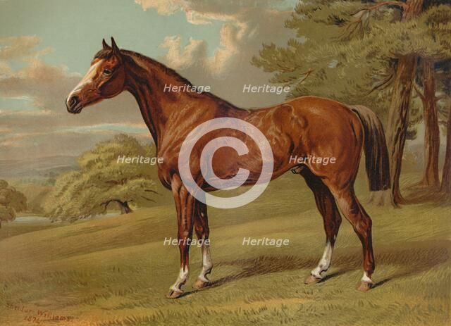 'Stilton A Hunter', c1879. Creator: Aldfred Sheldon Williams.