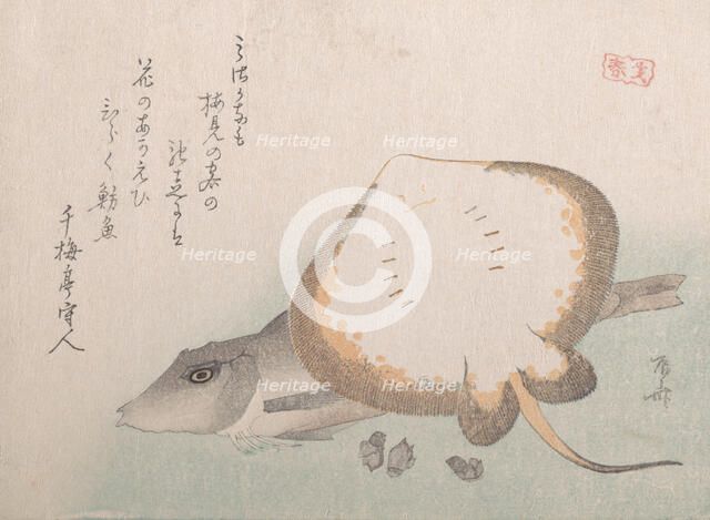 Stingray and Gurnard, probably 1815., probably 1815. Creator: Shinsai.