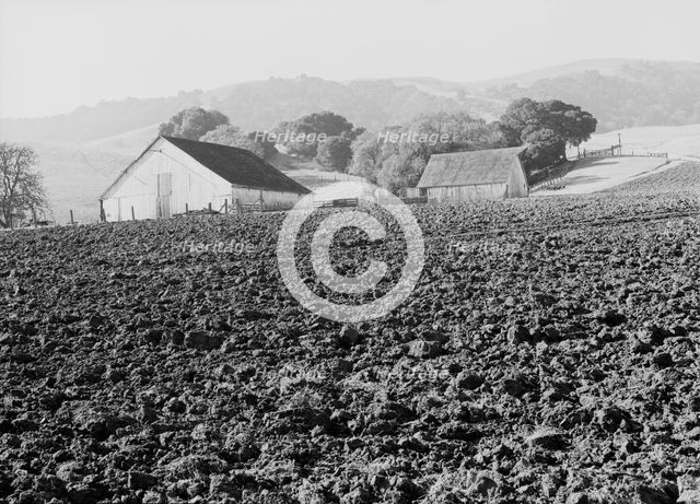 Stock ranch and plowed field, Contra Costa County, California, 1938. Creator: Dorothea Lange.