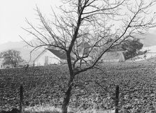 Stock ranch and plowed field, Contra Costa County, California, 1938. Creator: Dorothea Lange