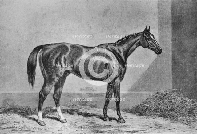 'Stockwell', 1849-1871, (1911). Artist: Unknown.