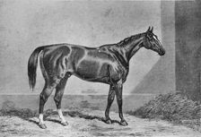 Stockwell 1849-1871, (1911)