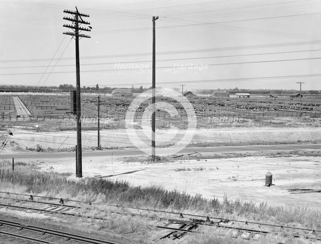 Stockyards seen from overpass, Between Tulare and Fresno, California, 1939. Creator: Dorothea Lange.