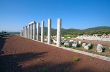 Stoas of the gymnasium at Messene, Greece. Creator: Samuel Magal