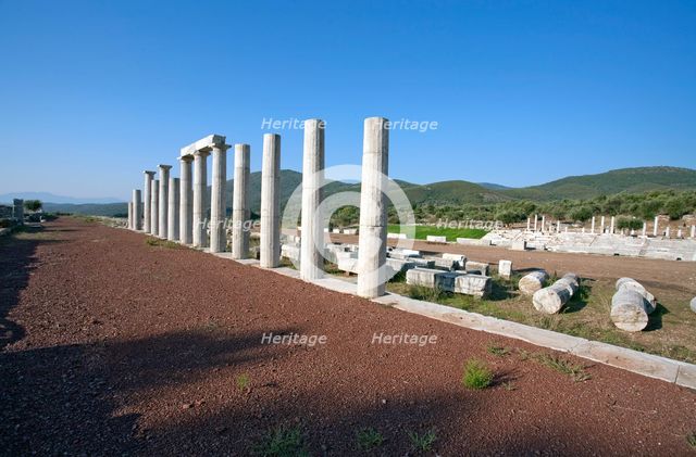 Stoas of the gymnasium at Messene, Greece. Creator: Samuel Magal.