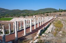 Stoas of the gymnasium at Messene, Greece. Creator: Samuel Magal