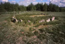 Stone Alignment, 20th century. Artist: CM Dixon