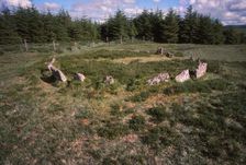 Stone Alignment, 20th century. Artist: CM Dixon