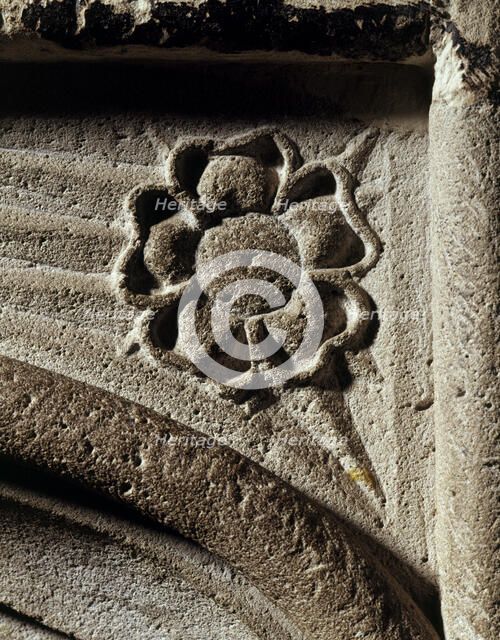 Stone flower, Dover Castle, Kent, 1997. Artist: J Richards