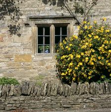 Stone mullioned cottage window, Lower Slaughter, Cotswolds, Gloucestershire, c2000s(?). Artist: Historic England Staff Photographer