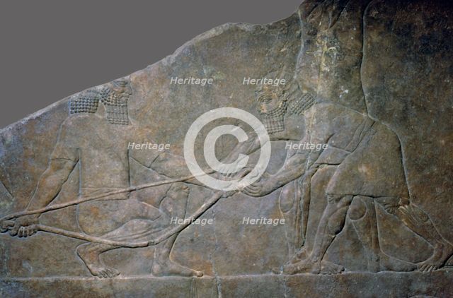 Stone panel from the North Palace of Ashurbanipal, Nineveh, northern Iraq, Neo-Assyrian, c645 BC. Artist: Unknown