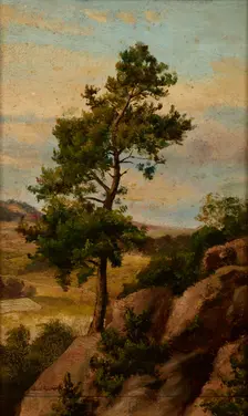 Stone Pine, before 1870. Creator: Heinrich Grabinski