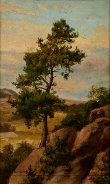 Stone Pine, before 1870. Creator: Heinrich Grabinski