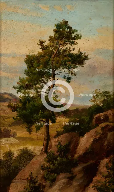 Stone Pine, before 1870. Creator: Heinrich Grabinski.
